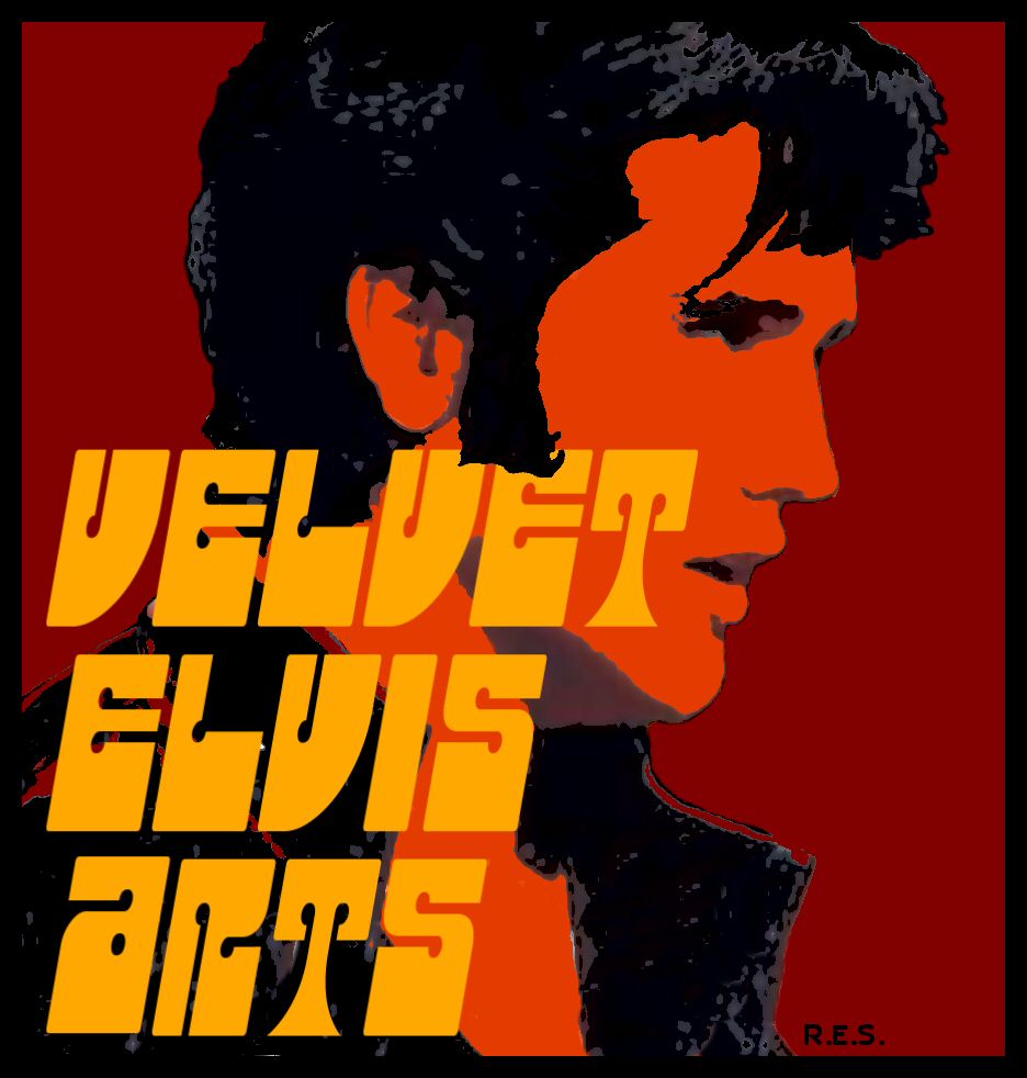 velvislogo.jpeg